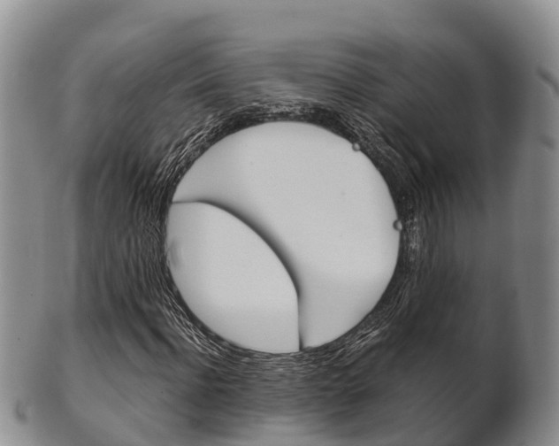 X0000102520916200808081026