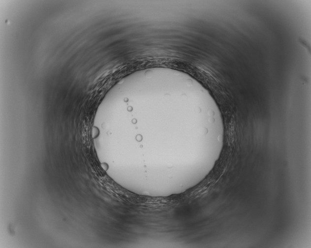 X0000102520917200808081026