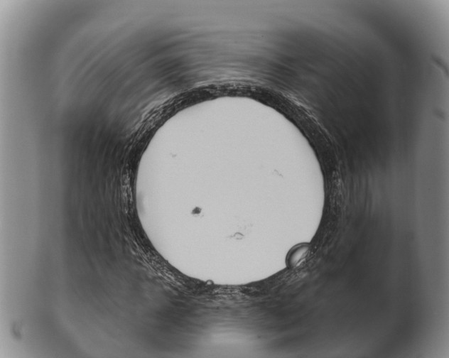 X0000102520918200808081026