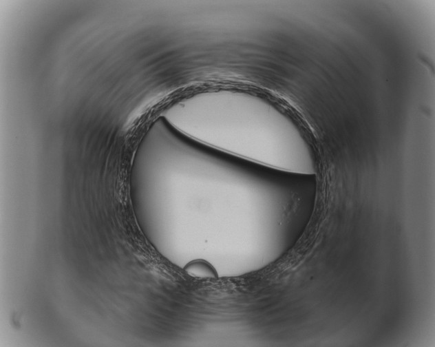 X0000102520919200808081026