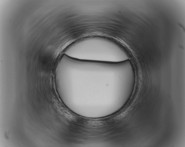 X0000102520921200808081026