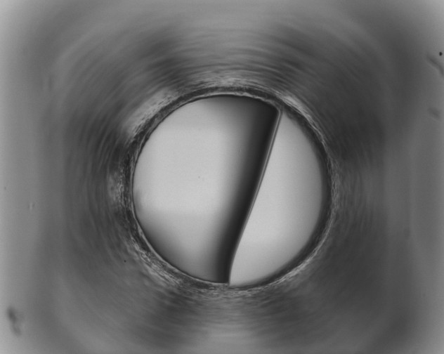 X0000102520922200808081026