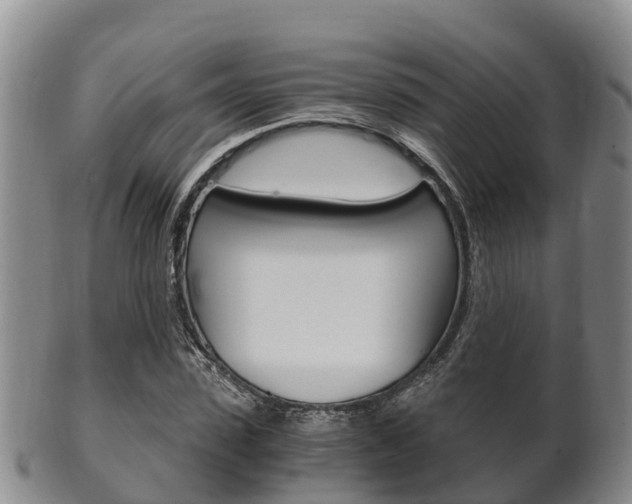 X0000102520923200808081026