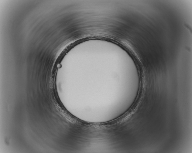 X0000102520924200808081026