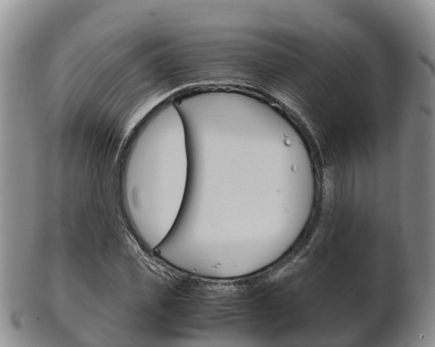 X0000102520925200808081026
