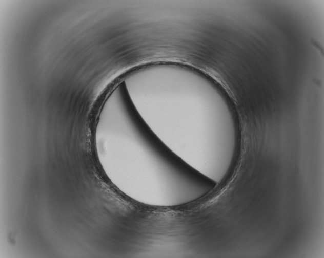X0000102520926200808081026