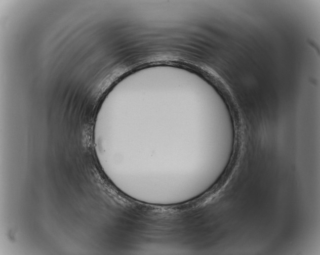 X0000102520929200808081026