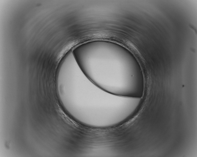 X0000102520930200808081026