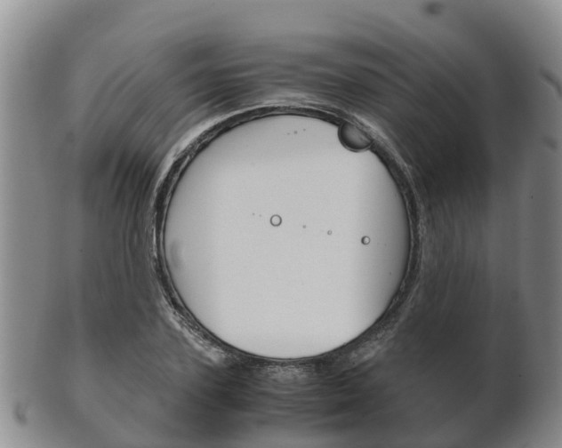 X0000102520931200808081026