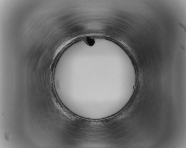 X0000102520933200808081026