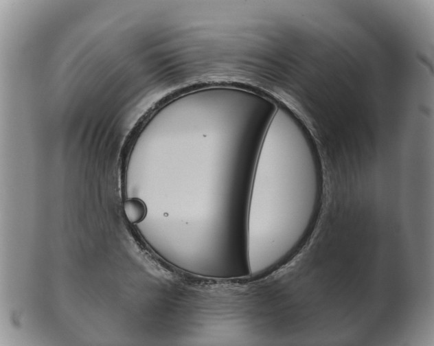 X0000102520934200808081026