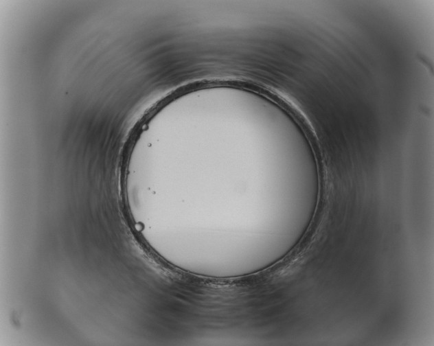 X0000102520935200808081026