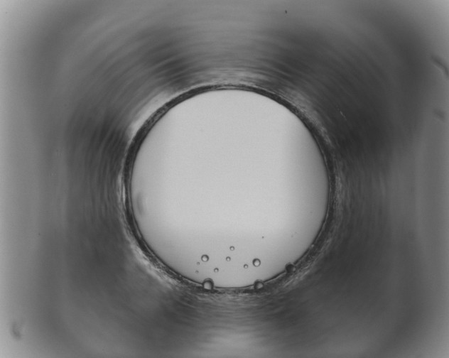 X0000102520936200808081026