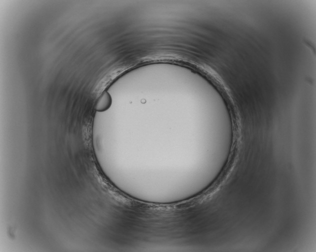 X0000102520937200808081026