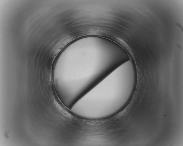 X0000102520938200808081026