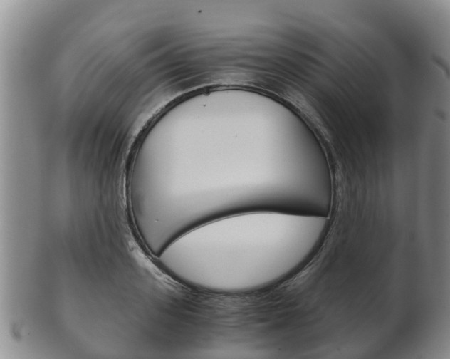 X0000102520939200808081026