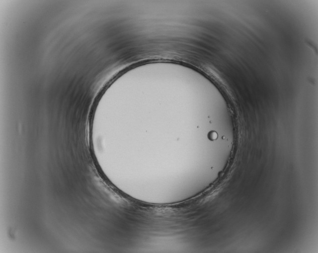 X0000102520940200808081026