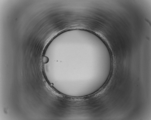 X0000102520941200808081026