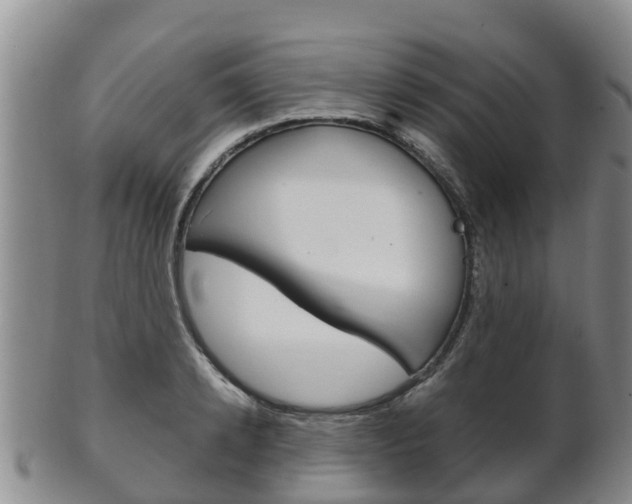 X0000102520942200808081026