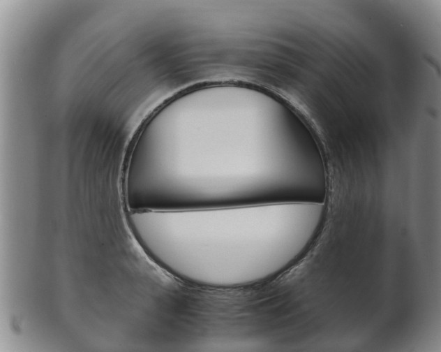 X0000102520943200808081026