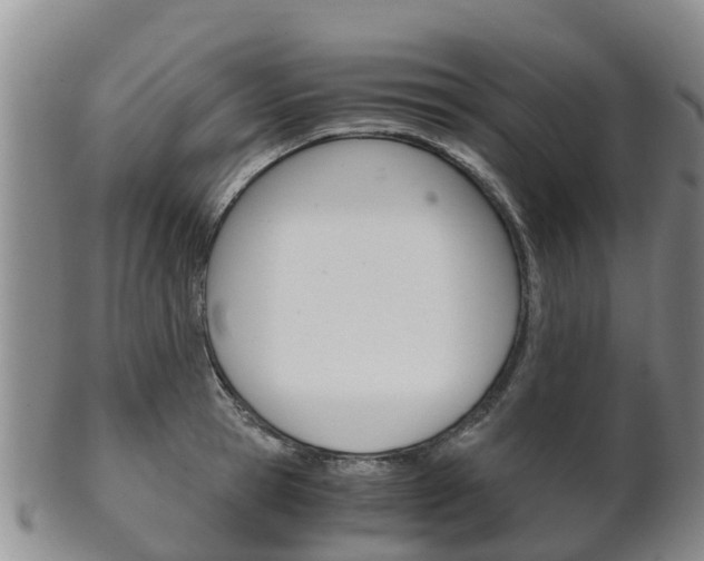 X0000102520945200808081026