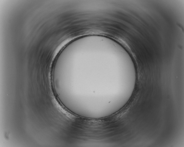 X0000102520947200808081026