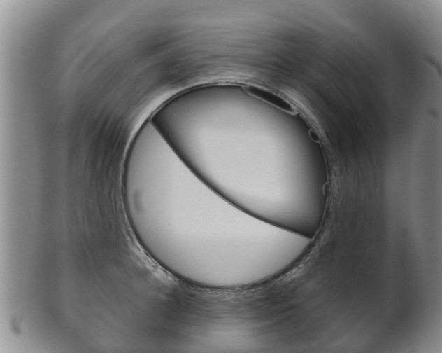 X0000102520948200808081026