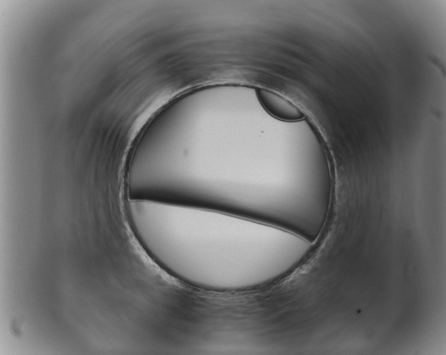 X0000102520949200808081026