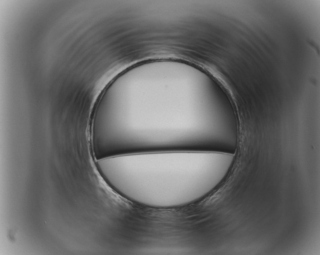 X0000102520951200808081026