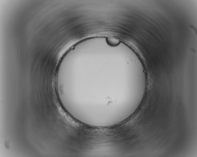X0000102520952200808081026