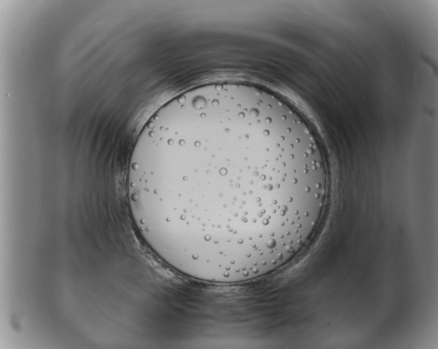 X0000102520953200808081026