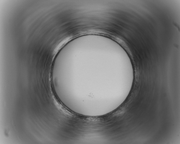 X0000102520954200808081026