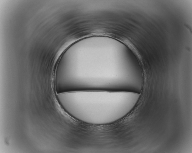 X0000102520955200808081026