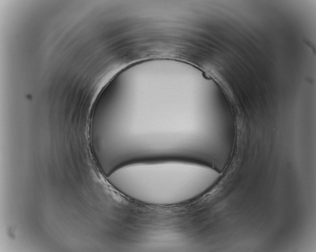 X0000102520956200808081027