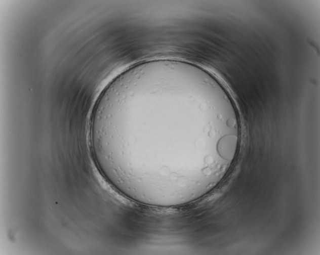 X0000102520957200808081027