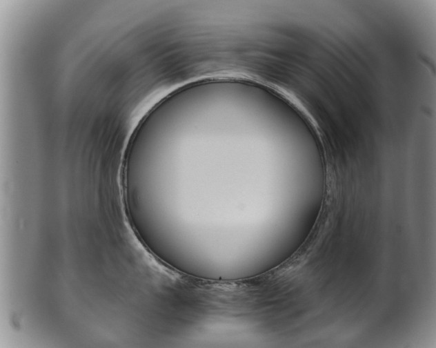 X0000102520959200808081027