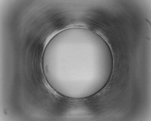 X0000102520960200808081027