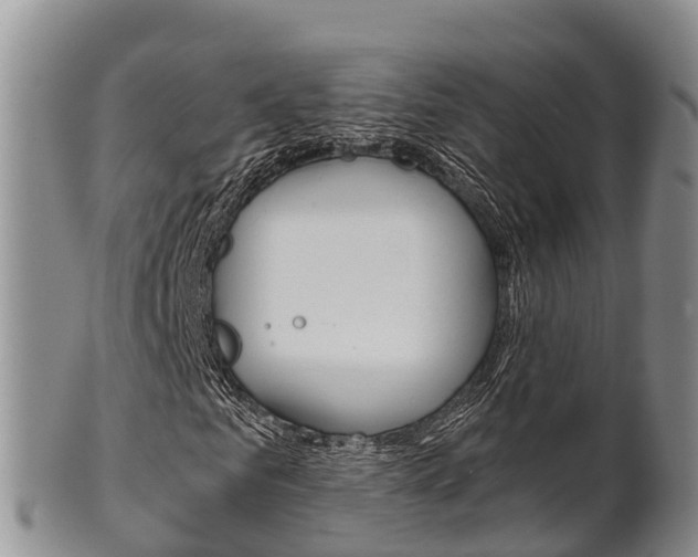 X0000102520961200808081026
