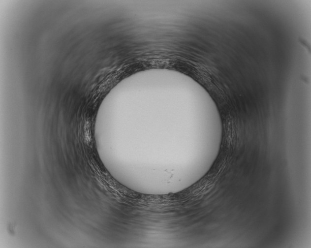 X0000102520962200808081026