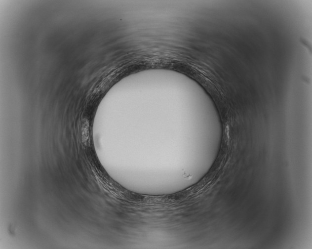 X0000102520963200808081026