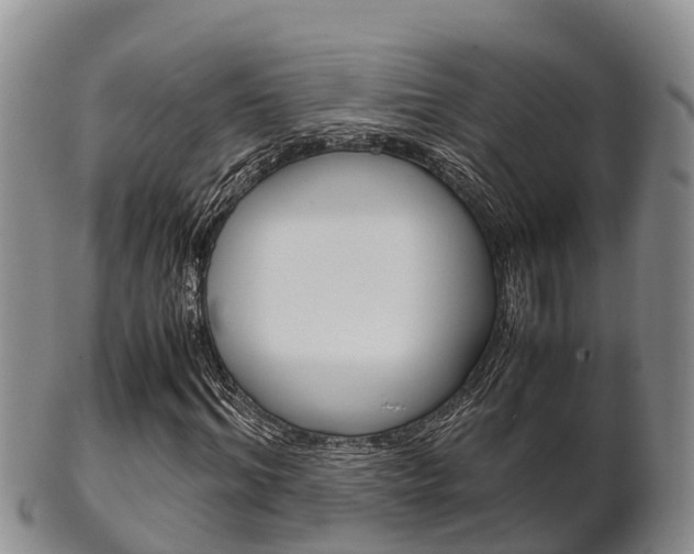 X0000102520964200808081026