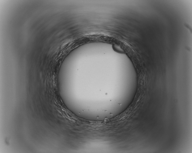 X0000102520965200808081026