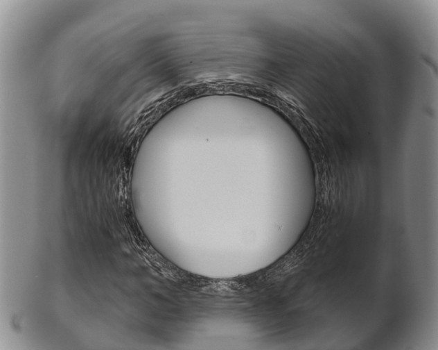 X0000102520966200808081026