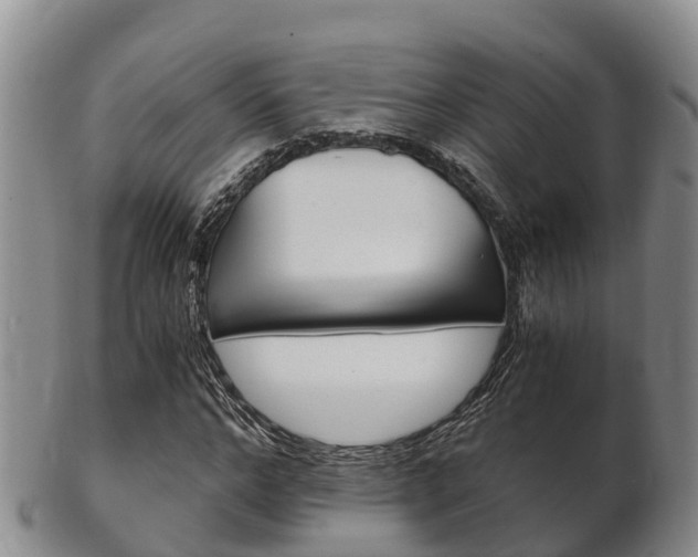 X0000102520968200808081026