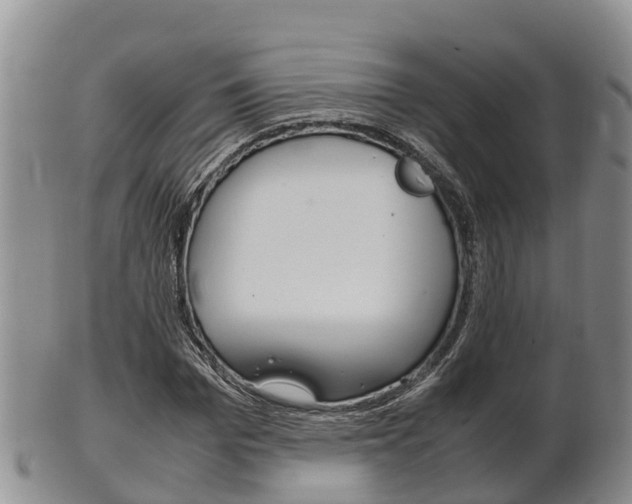 X0000102520969200808081026