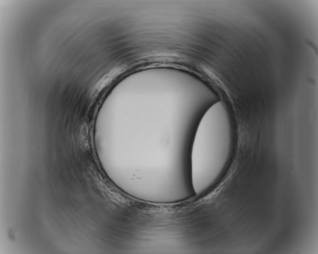 X0000102520970200808081026