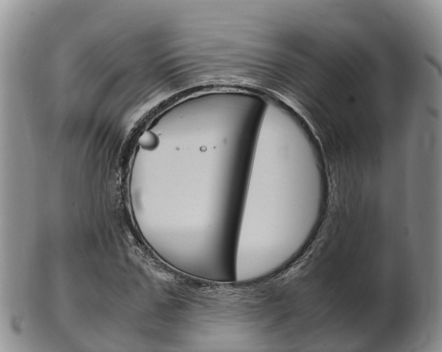 X0000102520971200808081026