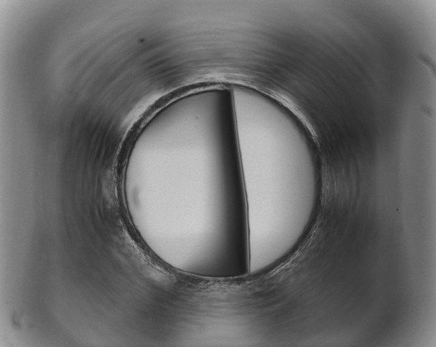 X0000102520972200808081026