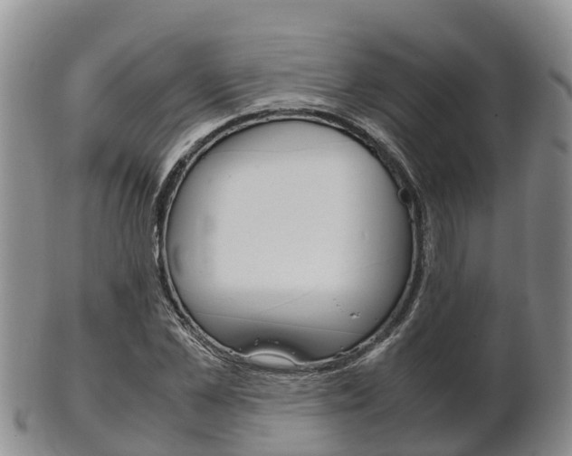 X0000102520973200808081026