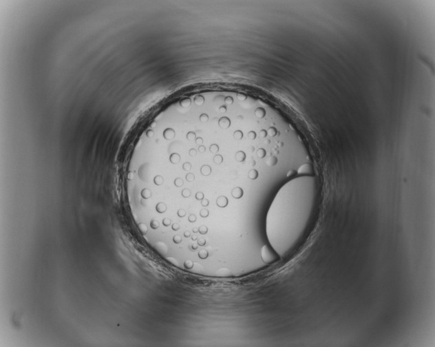 X0000102520974200808081026
